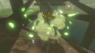 Korok seeds  Akkala Falls  Akkala Tower 5152  Zelda BOTW [upl. by Cesaro]