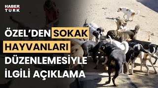 Sahipsiz köpek yasası iptal olur mu [upl. by Eeliak]