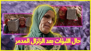 لبوؤات الأطلس بعد الزلزال زارهم فيسبوكي حر ويحتاجون 140 خيمة😥من يتكلف؟ [upl. by Miharba205]