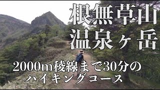 温泉ヶ岳・根無草山（2024627 群馬県栃木県県境 奥日光・奥鬼怒の日帰りハイキングコース）SV [upl. by Elnukeda]