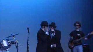 The Blues Brothers Everybody Needs Somebody To Love [upl. by Chelsae]