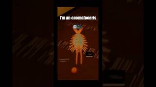 Im an anomalocaris🥹🥺memes shorts dailymemes [upl. by Sampson]