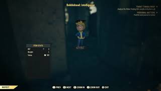 Fallout 76  How the Bobbleheads work in Fallout 76 [upl. by Sheridan]