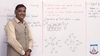 Class 9  Chemistry  Chapter 6  Lecture 5  Solubility with Respect to a  Allied Schools [upl. by Renee]