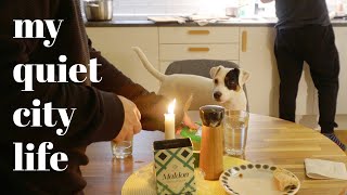 Oslo Norway Slow city life with a dog  Silent vlog  Thoughts on work  life balance [upl. by Aserehc]