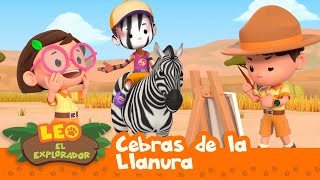 Cebra  Leo El Explorador Episodio  Animación  Familia  Niños [upl. by Orpheus]