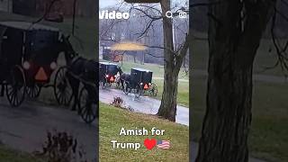 Amish for Trump ♥️🇺🇸💥🎉 check out part 2 with Kamala Karen response😂saveamericatrumptds [upl. by Yreved]