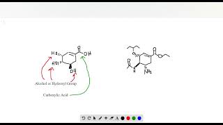 Oseltamivir can be prepared in 10 steps from shikimic acid Identify the functional groups in oselta [upl. by Aniehs]