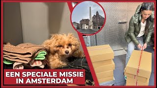 EEN SPECIALE MISSIE IN AMSTERDAM  2043 [upl. by Porta222]