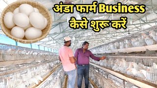 How to start Broiler Egg Leiyar poultry farm I Egg amp Chicken farm I अंडा फार्म Business amp कमाई [upl. by Maidel612]