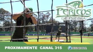 Temporada 2015 de los Pericos de Puebla [upl. by Akceber188]