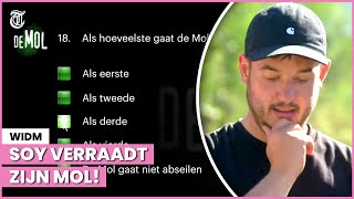 Testvraag verklapt wie de Mol is [upl. by Halik503]