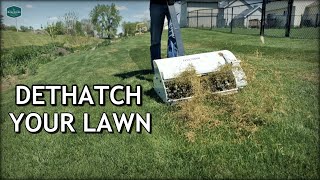 How To DETHATCH And FIX Your LAWN [upl. by Ocsirf655]