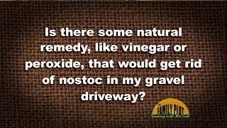 QampA – Is there a natural remedy to get rid of nostoc on my gravel driveway [upl. by Octavie739]