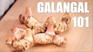 Ultimate Guide to GALANGAL  Hot Thai Kitchen [upl. by Zeena]