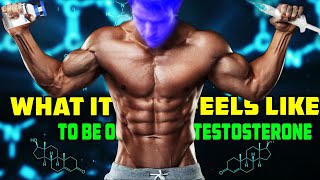 What It Feels Like To Be On Testosterone [upl. by Tonye]