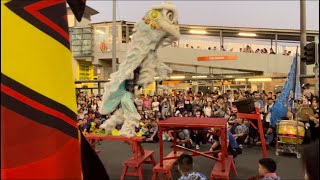 Sydney Cabramatta moon festival 2023 Qing Fong lion dance team bench routine liondance [upl. by Small]