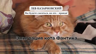 ЭМИГРАЦИЯ КОТА ФАНТИКА Вы будете смеяться но это  правда [upl. by Juline376]