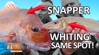 Fishing Edge  Catch Snapper amp Whiting On The Same Spot [upl. by Donall177]