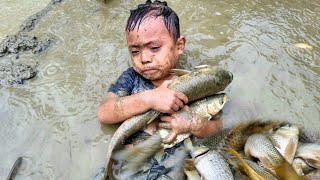 Harvested a lot of giant fish when the two grandfathers and grandchildren entered the fish pond [upl. by Wyatan]