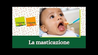 La masticazione  Consigli di pediatria del Prof Vania [upl. by Dnalram]