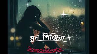 Mon Pinjira মন পিঞ্জিরা ।। Bengali lofi lofimusic lofiandreverb। [upl. by Horan771]