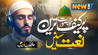 Most Beautiful Naat Sharif 2024  Meri Aankhen Tarasti Hai Ya Rab  Hafiz Malik Adeeb  New Naat [upl. by Nnylacissej]