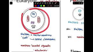 Microbiology 1  Introduction of Microbiology [upl. by Dyann]