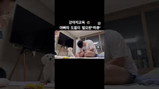 아빠 유튜브만 보고 있길래 교육 참여하라고소환 ㅋㅋㅋㅋ 아빠가 참여하니까 진짜 되네요 신기방기❤️ 강아지인사 강아지교육 닥스훈트 강아지일상 [upl. by Alfons]