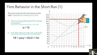 Lecture 13 Firms in Perfectly Competitive Markets Part 1 [upl. by Lyman445]