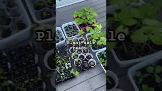 Check out Delaware Acre plant sale at Odessa’s Mayfest on Saturday May 4 09001530 [upl. by Kumar]