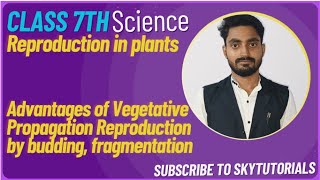 Reproduction in Plants Advantages of Vegetative Propagation Reproduction by budding fragmentation [upl. by Marcelia]