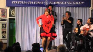 奥野裕貴子 FLAMENCA en ESPAÑA MORON DE LA FRONTERA PEÑA EL GALLO [upl. by Palocz]