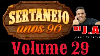 SERTANEJO ANOS 90 VOLUME 29 [upl. by Marillin]