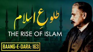 BaangeDara 163  TulueIslam  THE RISE OF ISLAM  Allama Iqbal  Iqbaliyat  AadhiBaat [upl. by Alletneuq142]