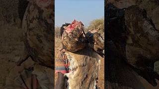 Hadza bushman Carrying Big Chunks Of Wild Pig BushMeatshortsfeed hadzabetribe [upl. by Nnawaj167]