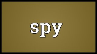 Spy Meaning [upl. by Gretchen]