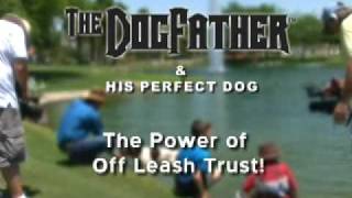 Amazing OffLeash Trust amp Dog Obedience  GSP  Don Sullivan The DogFather [upl. by Irdua56]