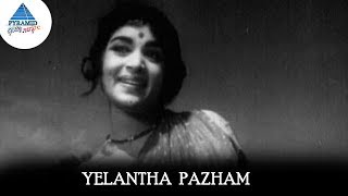 Yelantha Pazham Video Song  Panama Pasama Songs  Gemini Ganesan  Saroja Devi Pyramid Glitz Music [upl. by High139]