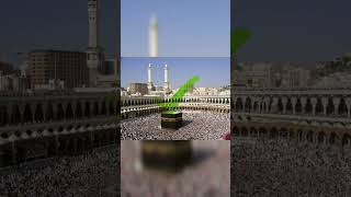 Places where muslims need to go Part 2  Multy Shalti viral [upl. by Abih]