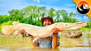 GAR WARS The Battle to Save this GIANT Fish [upl. by Bartie]