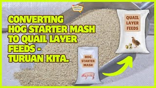 Converting Hog Starter Mash to Quail Layer Feeds  Turuan Kita [upl. by Kung]