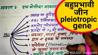 बहुप्रभावी जीन  pleiotropic gene [upl. by Casmey]