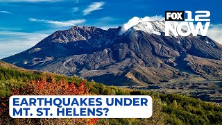 LIVE Earthquakes under Mt St Helens [upl. by Lindeberg]