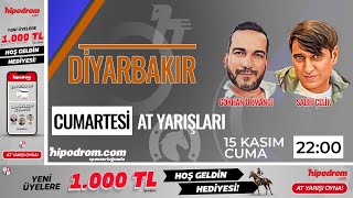 16 Kasım 2024  Diyarbakır At Yarışı Tahminleri  Gökhan Ormancı  Salih Çelik [upl. by Hessney]