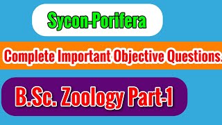 SyconPorifera BScZoology subsi Part1 Complete important objective Questions for University Exam [upl. by Asikal]