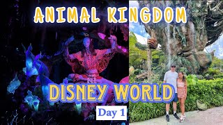 DISNEY WORLD Day1 ANIMAL KINGDOM TOUR  ORLANDO FLORIDA [upl. by Jamin]