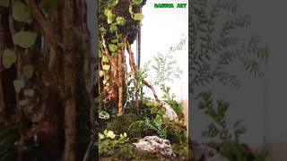 HOW TO MAKE TERRARIUM  TERRARIUM MAKING  NOILE CRAFT  ටෙරාරියම්  terrarium  shorts diy [upl. by Jared]