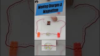 Moving charges and Magnetism Class 12 Physics One shot by Roshni Mam  Teaser shorts [upl. by Ferro]