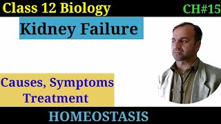 Renal Failure class 12 Causes  symptoms and treatment of Kidney failure [upl. by Anelahs]